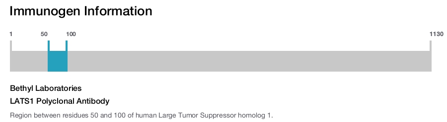 LATS1 Polyclonal Antibody