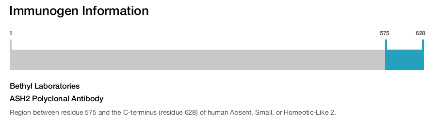 ASH2 Polyclonal Antibody