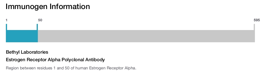 Estrogen Receptor Alpha Polyclonal Antibody