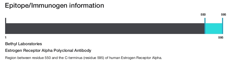 Estrogen Receptor Alpha Polyclonal Antibody
