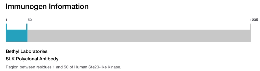 SLK Polyclonal Antibody