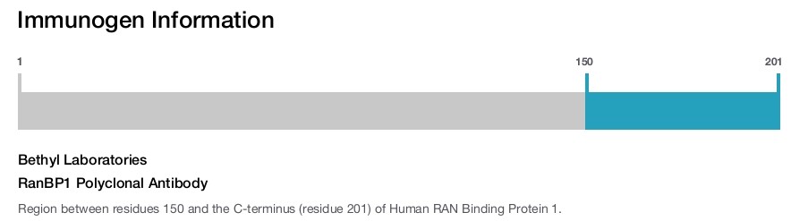 RanBP1 Polyclonal Antibody