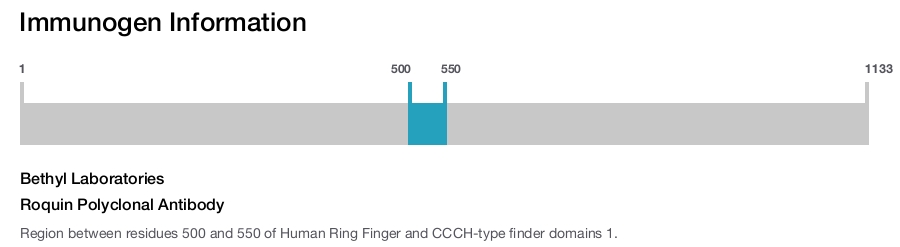 Roquin Polyclonal Antibody