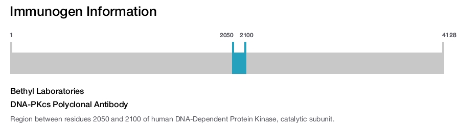 DNA-PKcs Polyclonal Antibody
