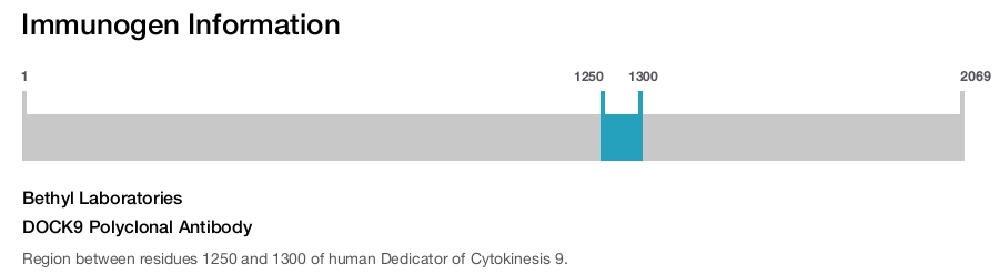 DOCK9 Polyclonal Antibody