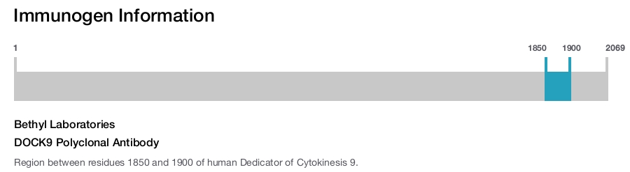 DOCK9 Polyclonal Antibody