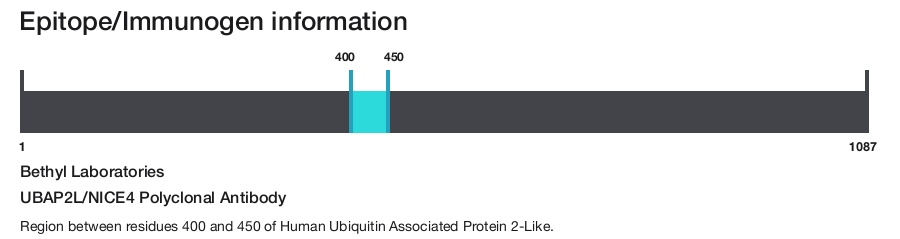 UBAP2L/NICE4 Polyclonal Antibody