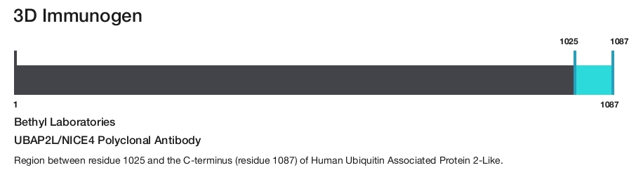 UBAP2L/NICE4 Polyclonal Antibody