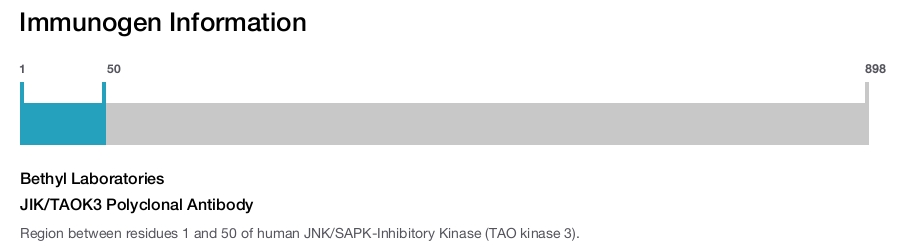 JIK/TAOK3 Polyclonal Antibody