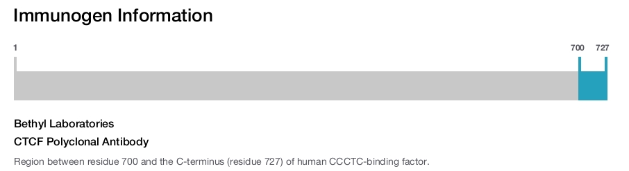 CTCF Polyclonal Antibody