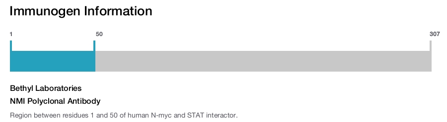 NMI Polyclonal Antibody