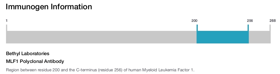 MLF1 Polyclonal Antibody