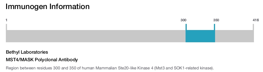 MST4/MASK Polyclonal Antibody