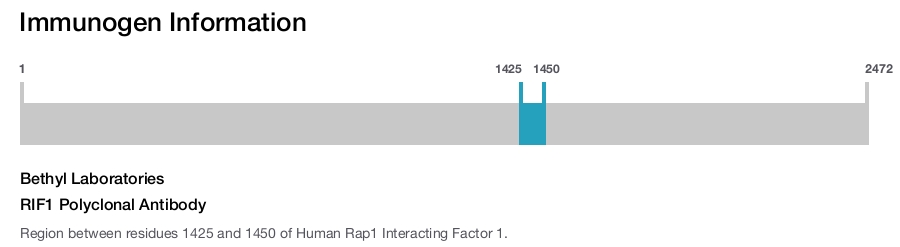 RIF1 Polyclonal Antibody