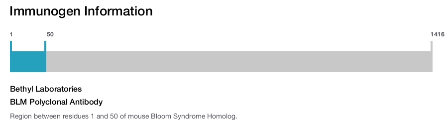 BLM Polyclonal Antibody