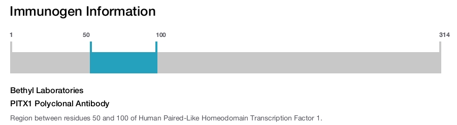 PITX1 Polyclonal Antibody