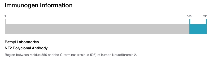NF2 Polyclonal Antibody