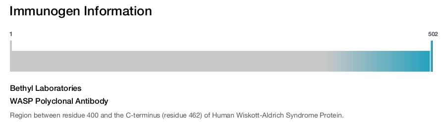 WASP Polyclonal Antibody