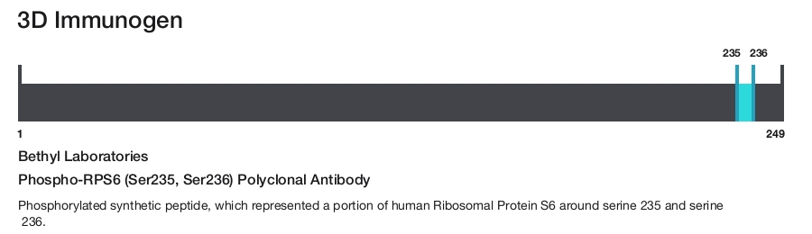 Phospho-RPS6 (Ser235, Ser236) Polyclonal Antibody