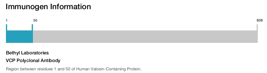 VCP Polyclonal Antibody