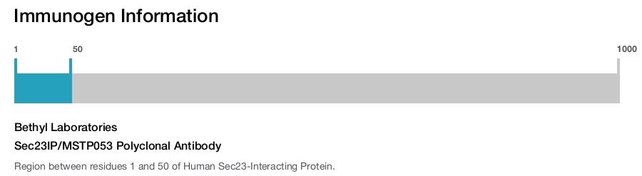 Sec23IP/MSTP053 Polyclonal Antibody