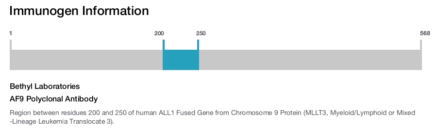 AF9 Polyclonal Antibody