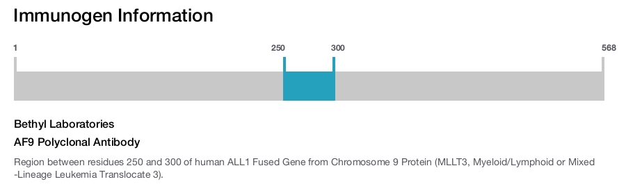 AF9 Polyclonal Antibody