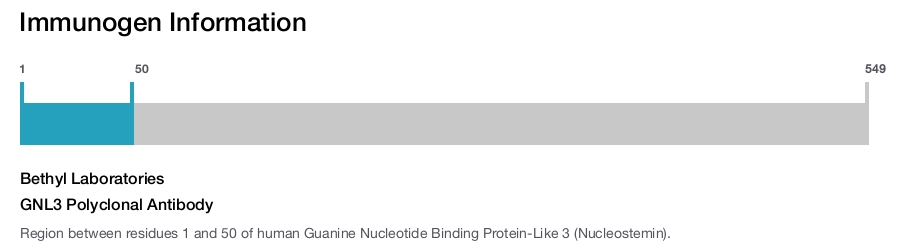 GNL3 Polyclonal Antibody