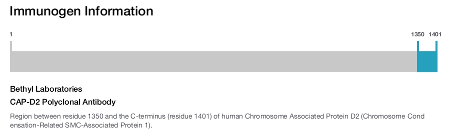 CAP-D2 Polyclonal Antibody
