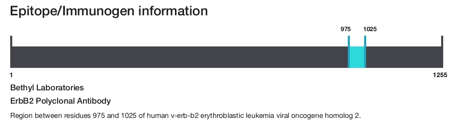 ErbB2 Polyclonal Antibody