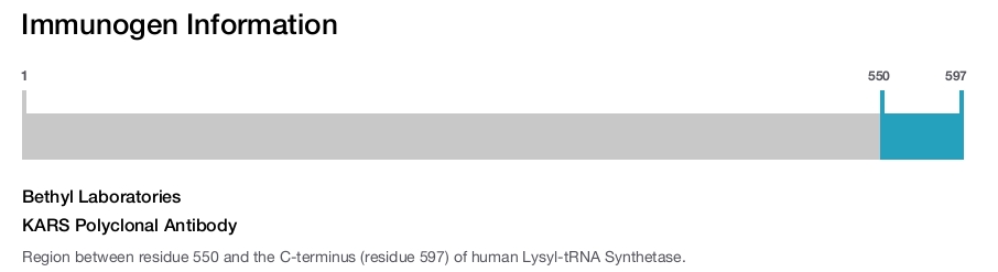 KARS Polyclonal Antibody