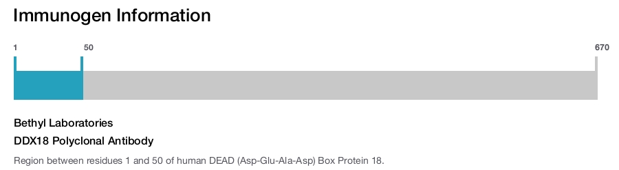 DDX18 Polyclonal Antibody
