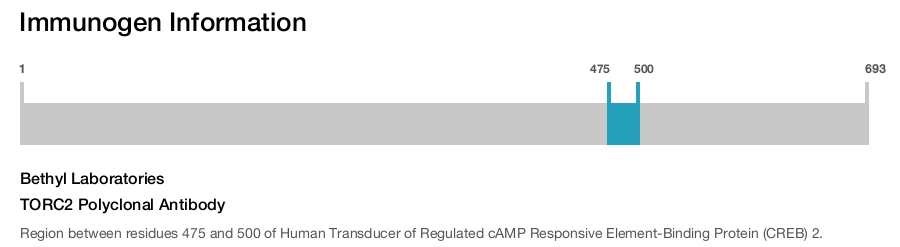 TORC2 Polyclonal Antibody