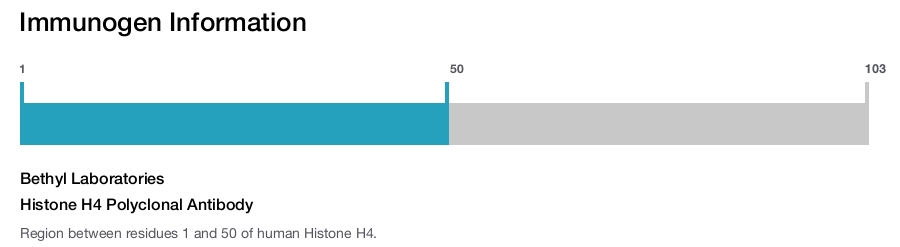 Histone H4 Polyclonal Antibody