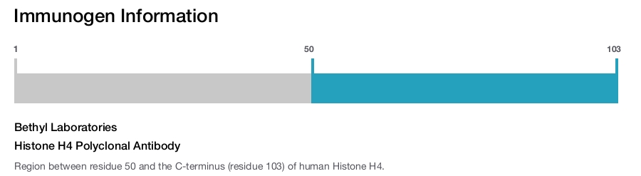 Histone H4 Polyclonal Antibody