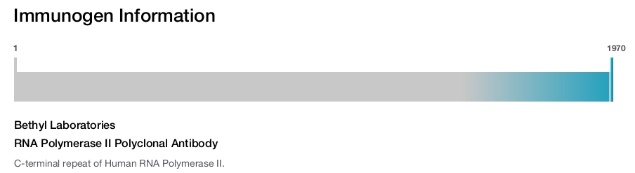 RNA Polymerase II Polyclonal Antibody