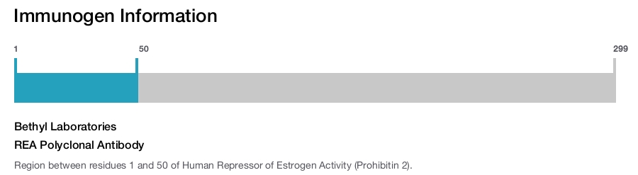 REA Polyclonal Antibody