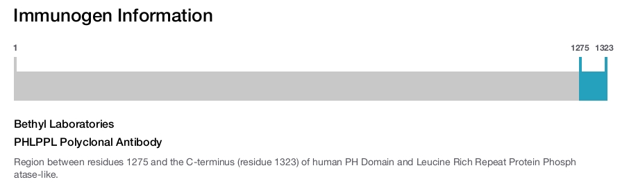 PHLPPL Polyclonal Antibody