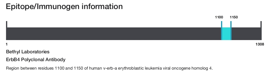 ErbB4 Polyclonal Antibody