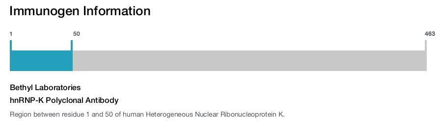 hnRNP-K Polyclonal Antibody
