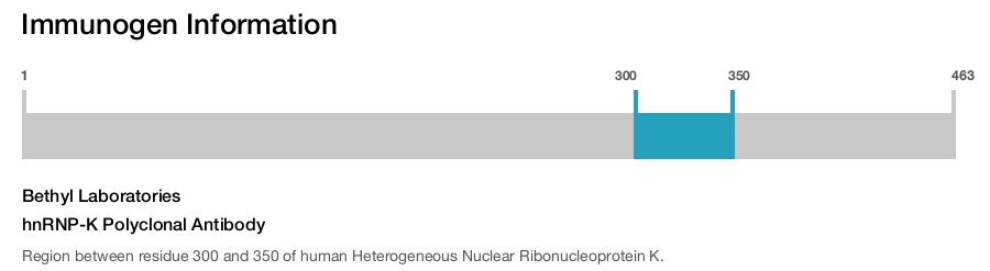 hnRNP-K Polyclonal Antibody
