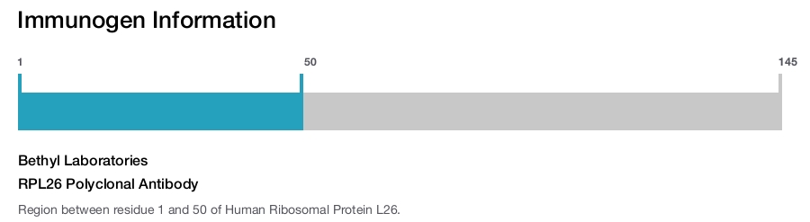 RPL26 Polyclonal Antibody