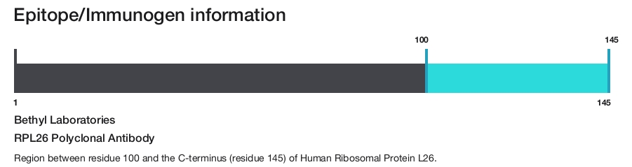 RPL26 Polyclonal Antibody