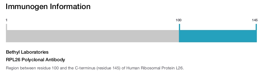 RPL26 Polyclonal Antibody