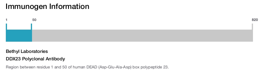 DDX23 Polyclonal Antibody