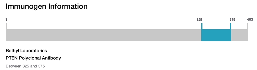 PTEN Polyclonal Antibody