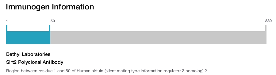 Sirt2 Polyclonal Antibody