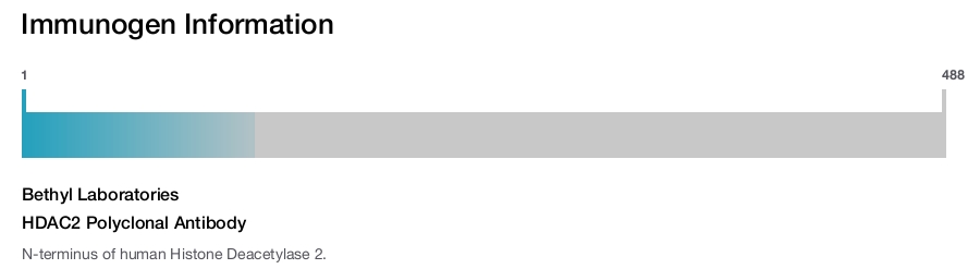 HDAC2 Polyclonal Antibody