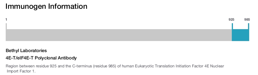 4E-T/eIF4E-T Polyclonal Antibody