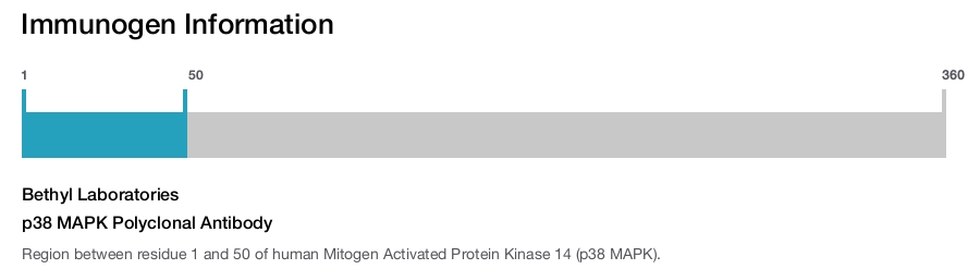 p38 MAPK Polyclonal Antibody